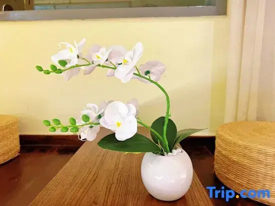 Warm House Homestay