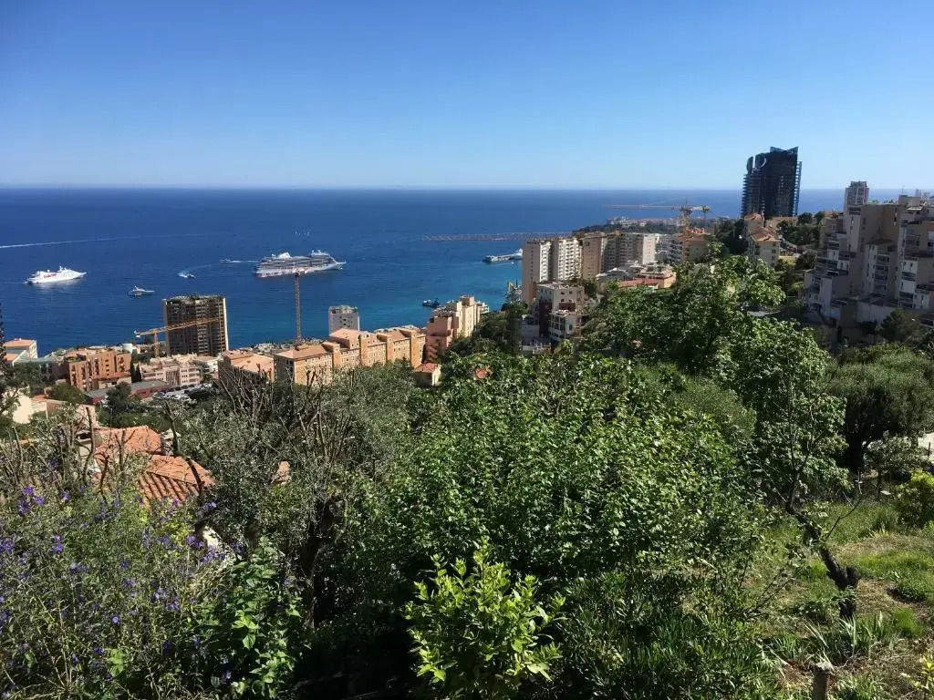 La Bella Vista