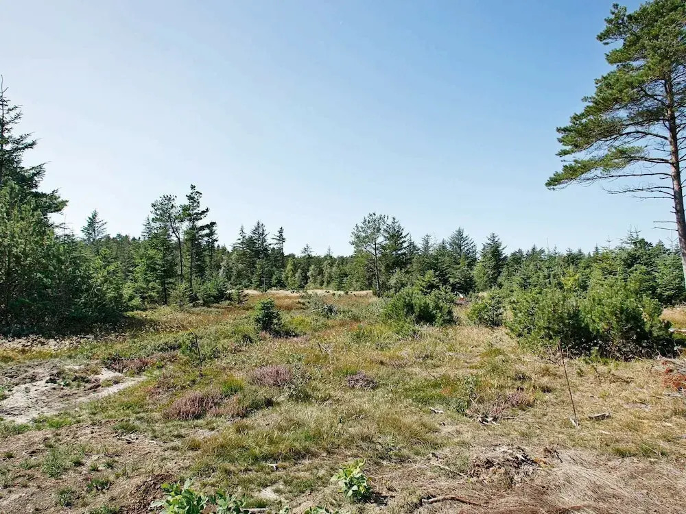 Stunning Holiday Home in Fjerritslev With Private Whirlpool