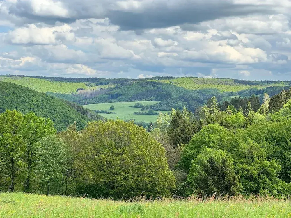 Holiday home with sauna in the Eifel National Park
