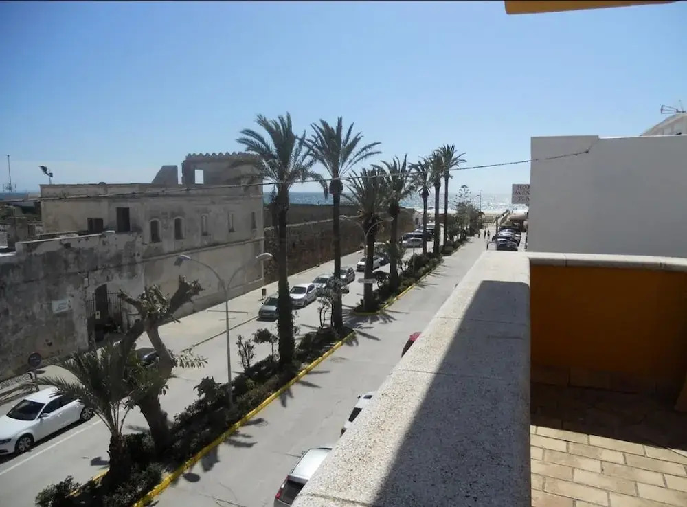 Estudios la Atarraya