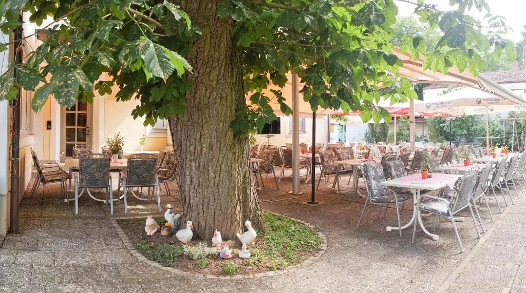 Hotel - Restaurant Kastanienhof Lauingen