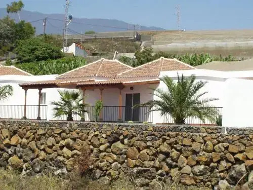 Palsui