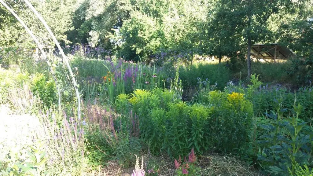 De Geheime Tuin - Boshuis