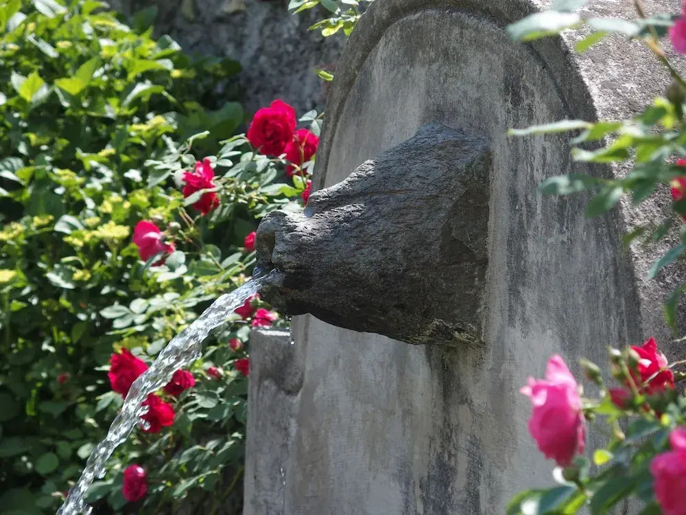 Roseto del Drago