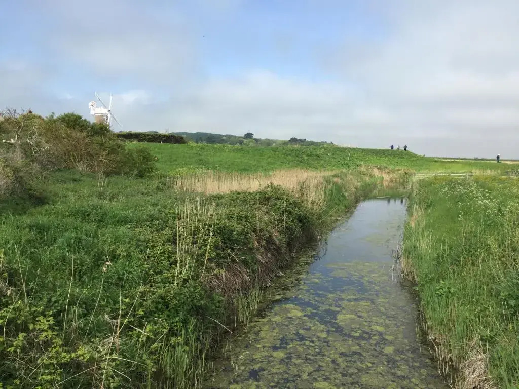 The Harnser, Cley