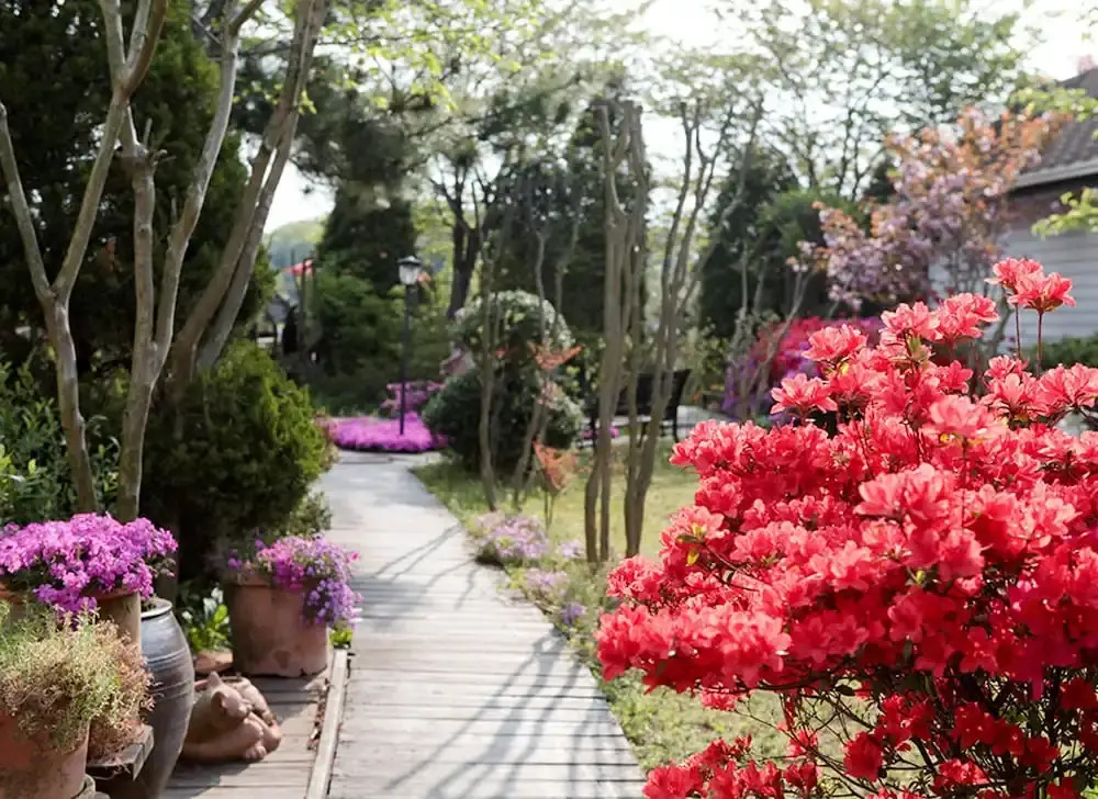 Well Being Sanjang Pension