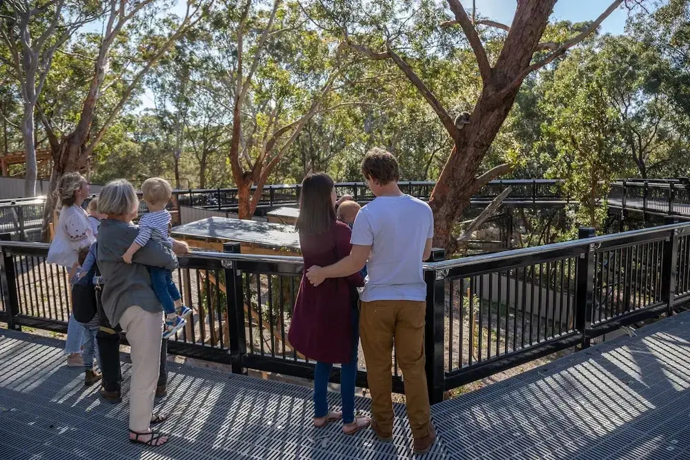 Port Stephens Koala Sanctuary