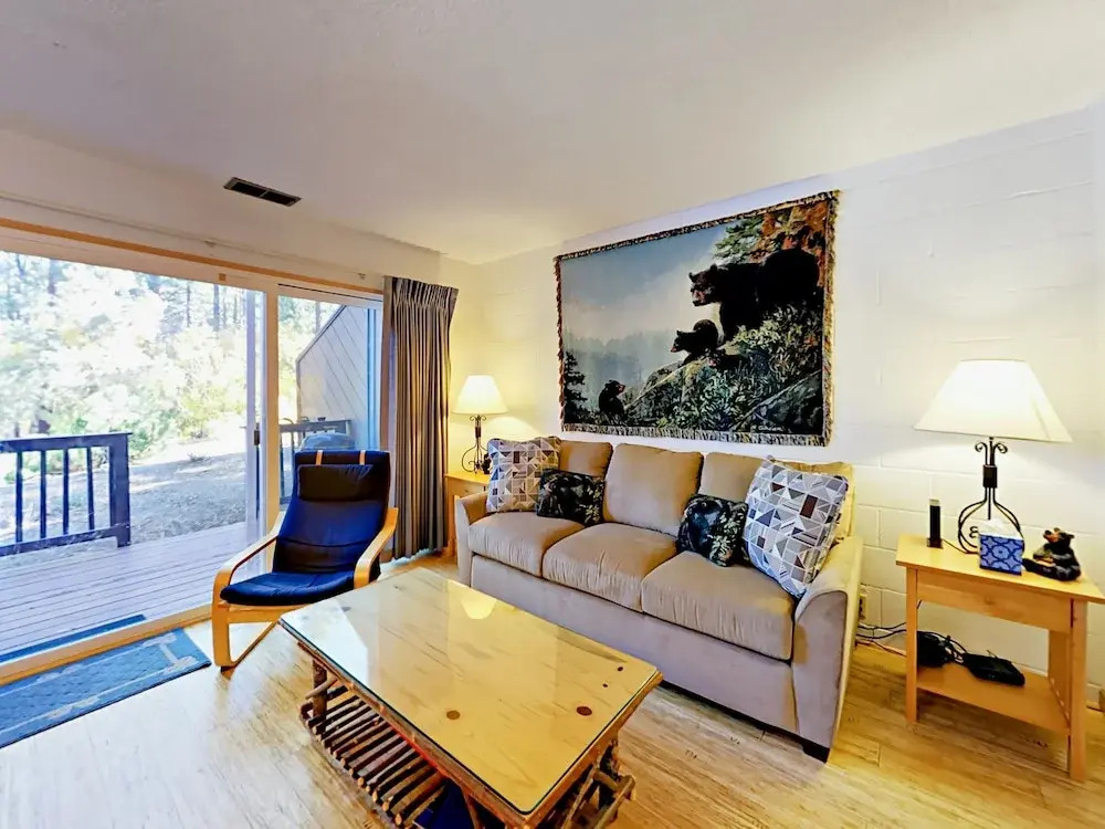 1410 Ski Run Blvd Condo Unit 3