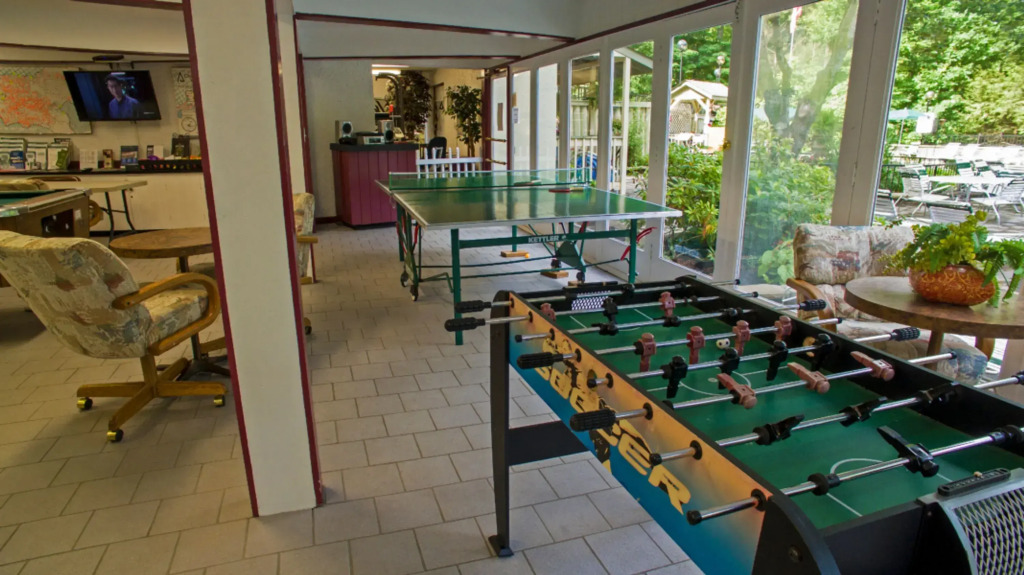Mtn Chalet w Pool-hot Tub-gym-game Room-sauna