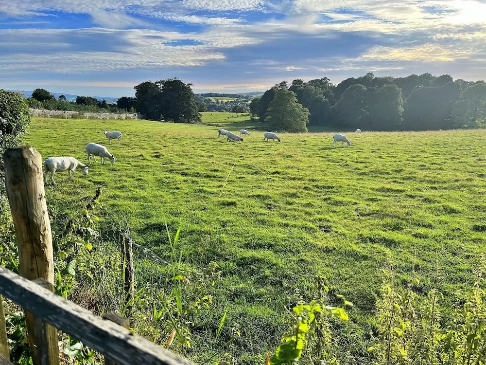 Cottage in Casterton Near Kirkby Lonsdale
