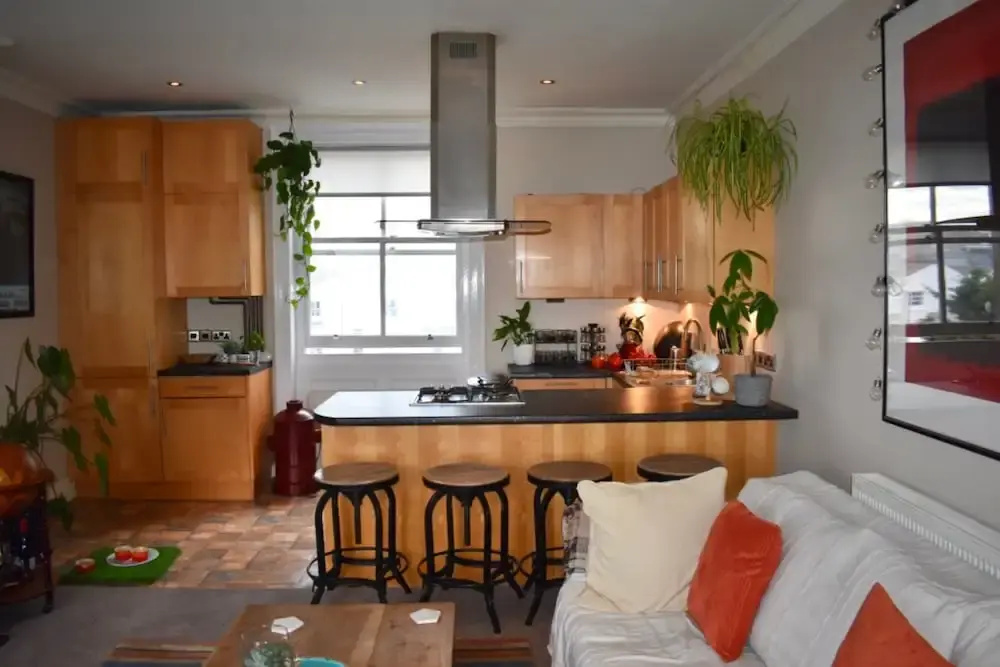 Contemporary 1 Bedroom Apartment With Indoor Cat for Company