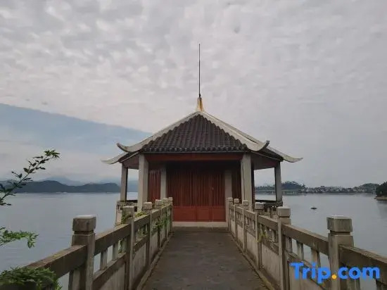 Tachee Island Holiday