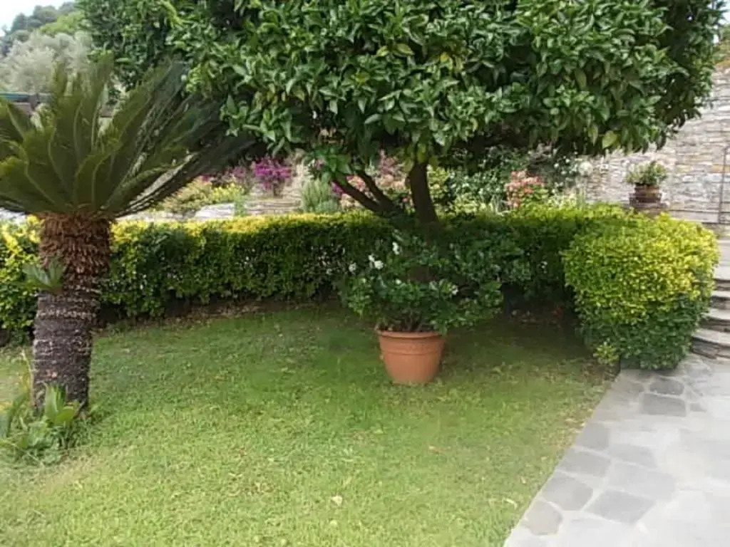 Le Clementine B&B