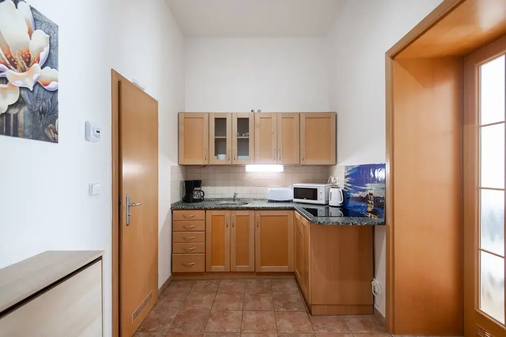 Spacious Apartments in Heart of Prague