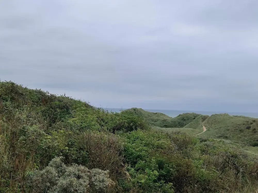 6 Person Holiday Home in Hirtshals-by Traum