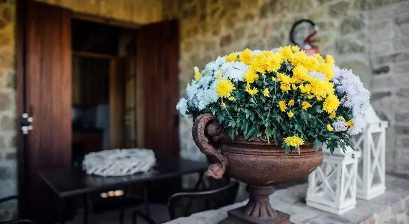 Borgo del Faggio - Case Vacanza