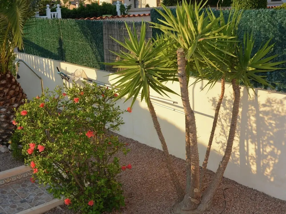 Large Villa With Private Pool and Five Bedrooms in Benijofar