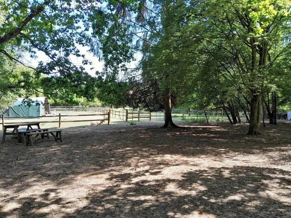 Little Greenwood Shepherd Hut - Sleeps 2
