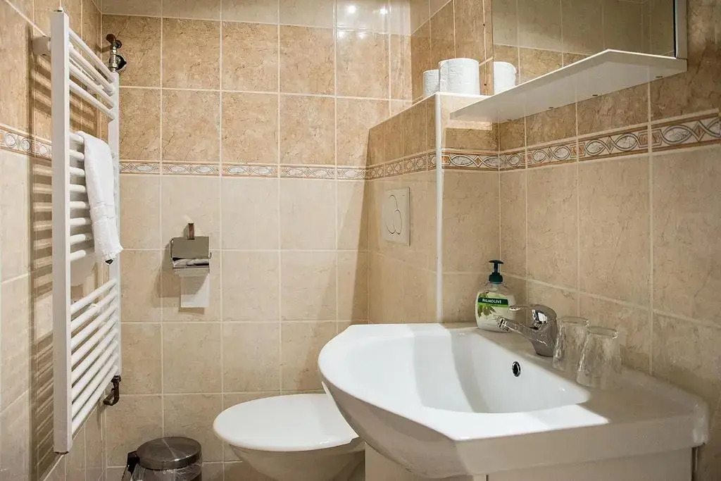 Horský hotel Vidly
