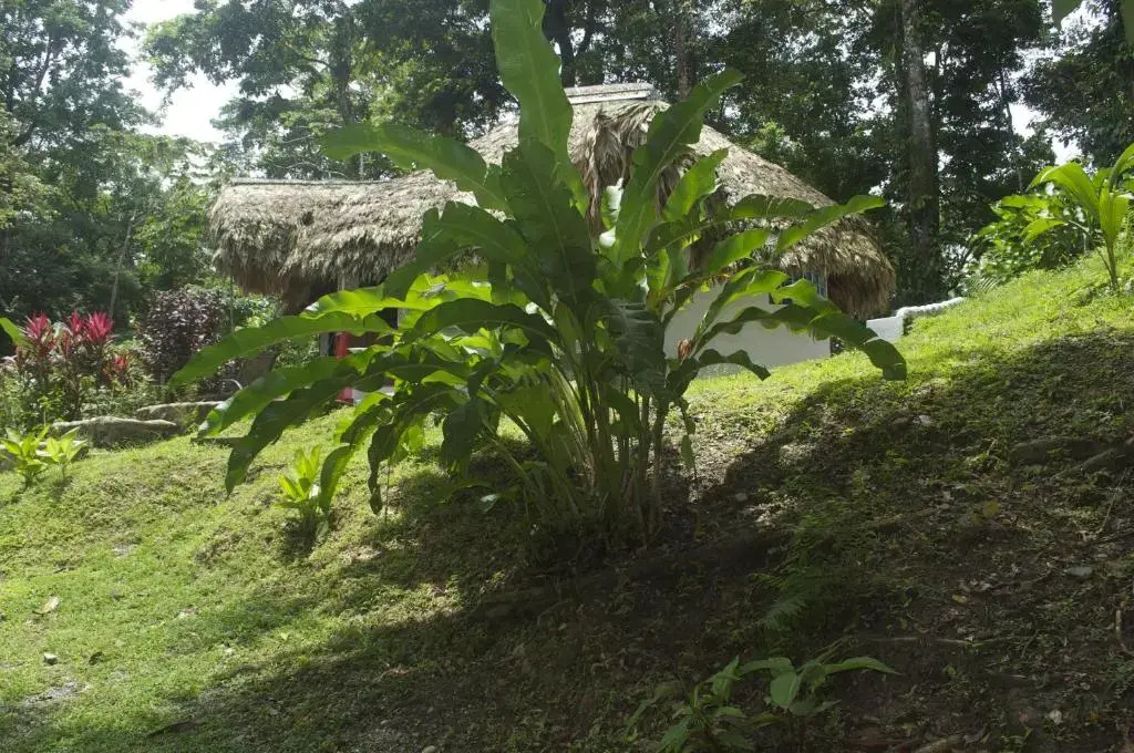 La Magia Bungalows