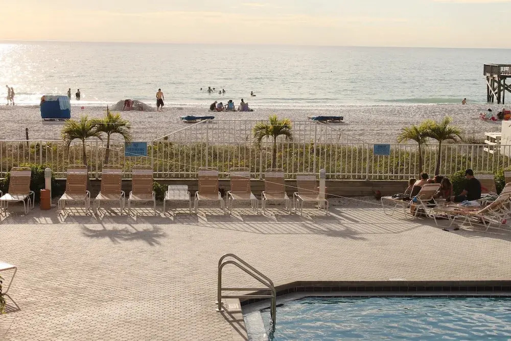 Beach Palms 405