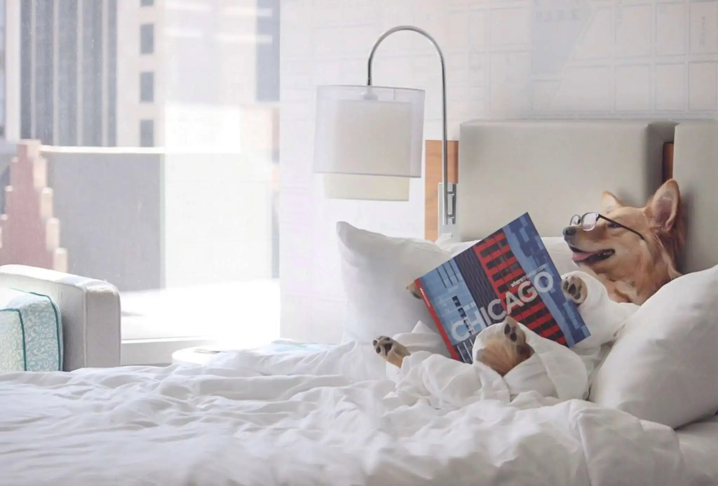 Kinzie Hotel