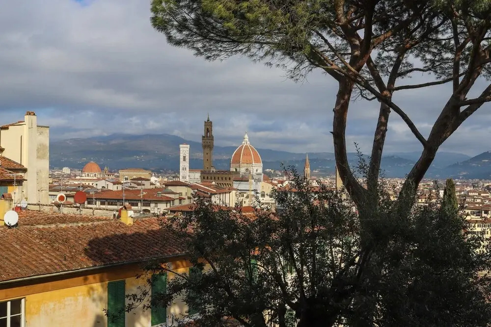 Florence in the Window