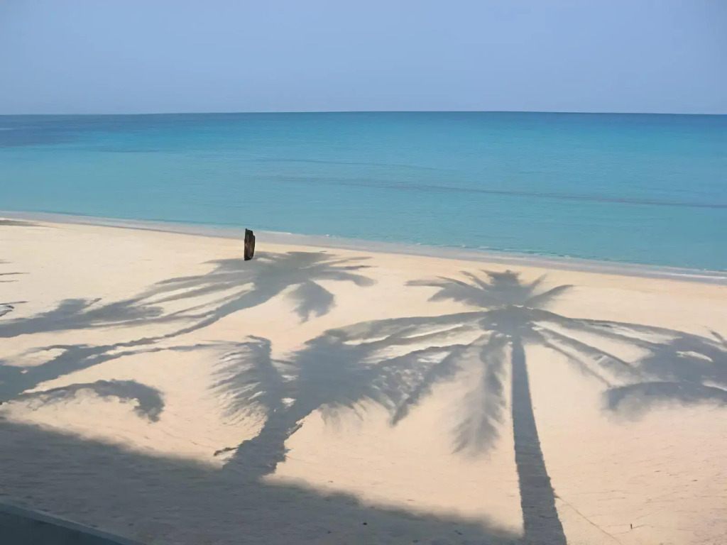 Palm Grove Saud Holiday Complex Hotel