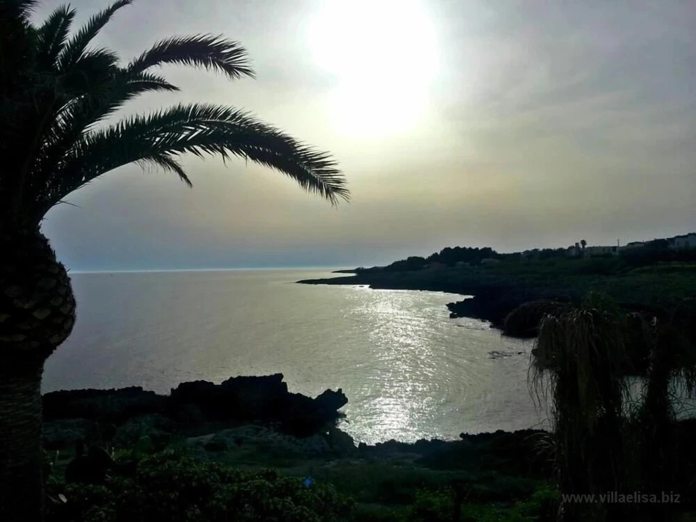 Villa Elisa B&B