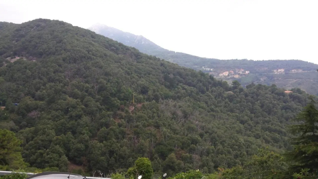La Casalina dell'Elba