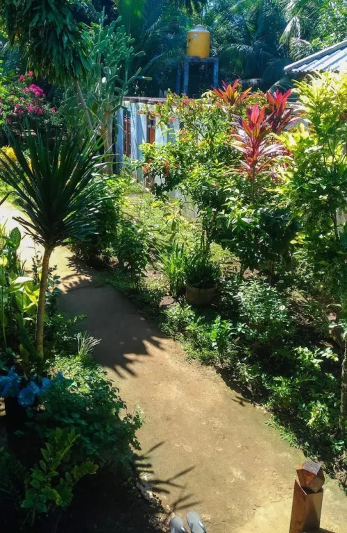 Panorama Backpackers