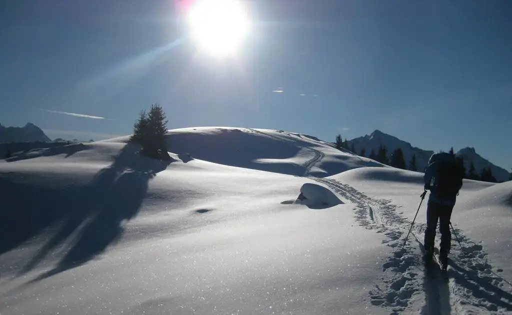 Pension Steiermark