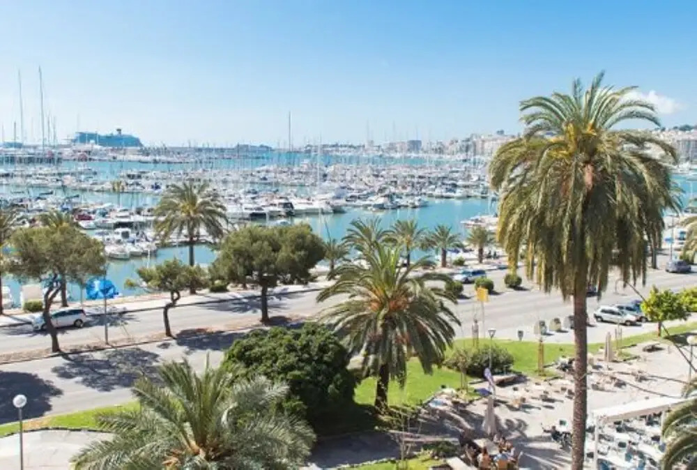 104472 -  Apartment in Palma de Mallorca