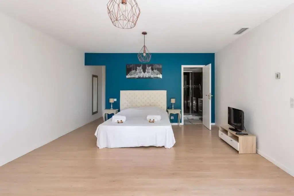 Splendid villa with pool and seaview 20 min away from Nice center - Welkeys