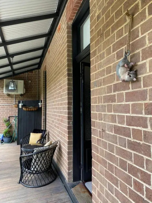 Wingham House - Pet Friendly