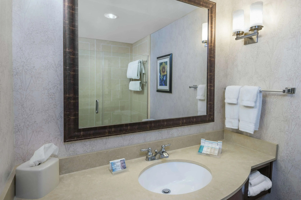 Hilton Garden Inn San Antonio At The Rim