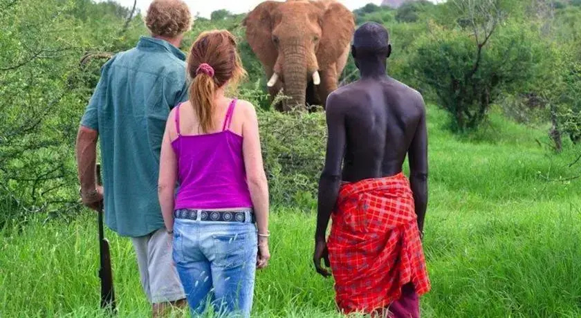 Laikipia Wilderness Camp