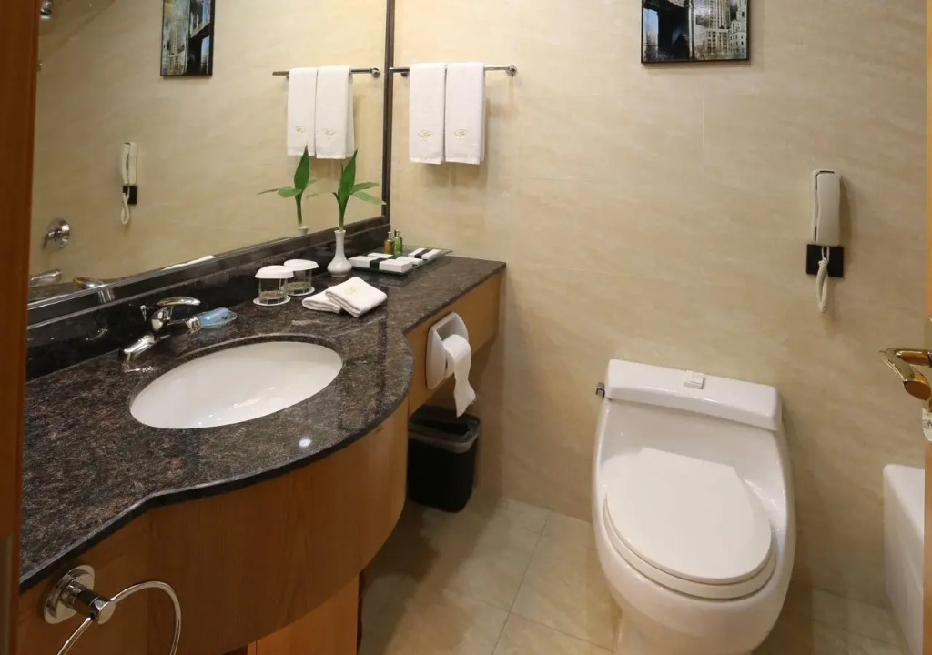 Aurum International Hotel Xi'an