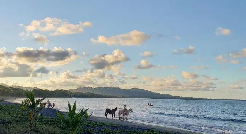 Kaya's Place