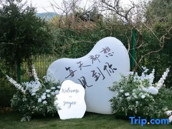 Seeyoo Anji (Yucun Liangshan Dazhuhai Branch)