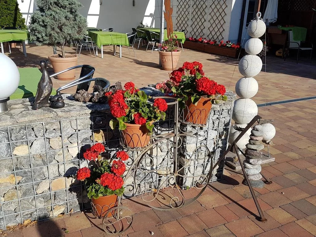 Pension Sonnenhof, Fahrradverleih