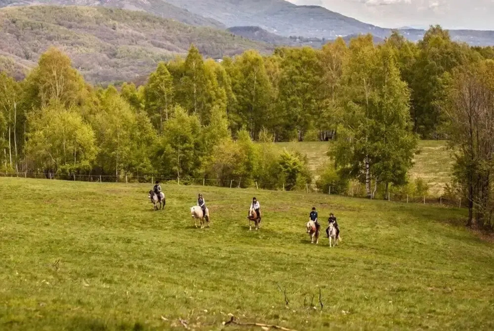 Agriturismo il Poggio di Cantagallina