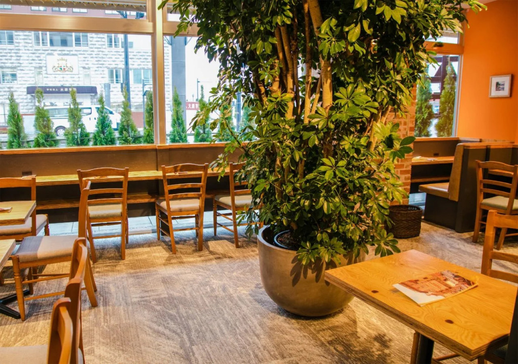 Four Points Flex by Sheraton Morioka