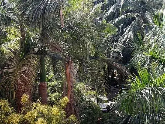 Xishuang Banna Jinglan Inn New