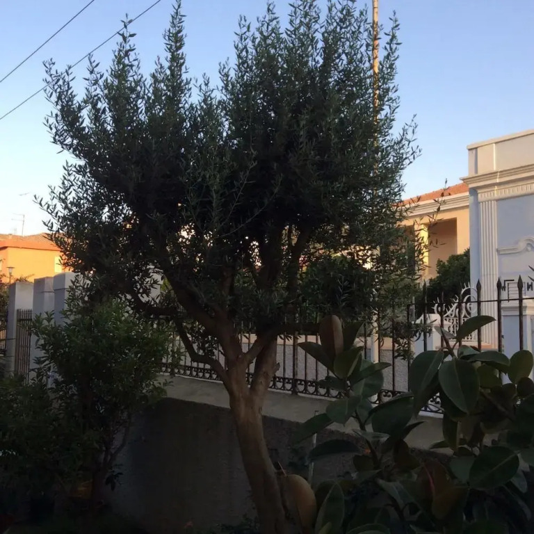 B&B Casavale