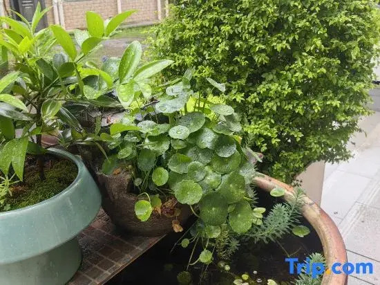 Qingfeng Xiaoyuan Homestay (Zhuzhou Fantawild Resort Branch)
