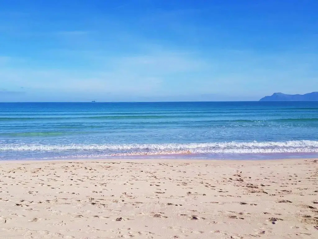 Blue Sea