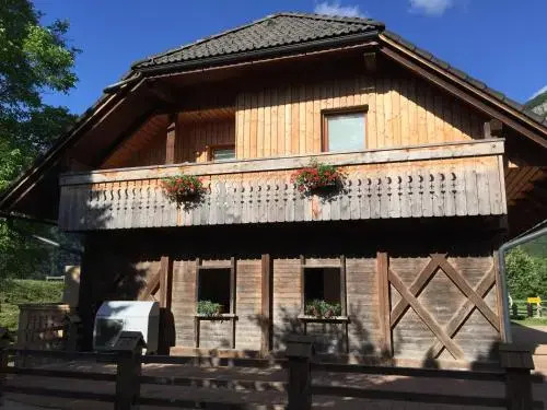 Apartment Markič