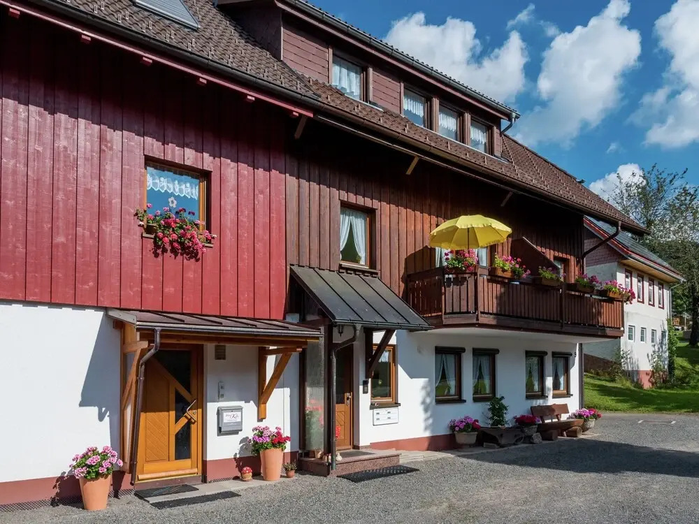 Luxurious Apartment in Todtnauberg With Terrace